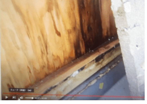外壁合板が腐っている